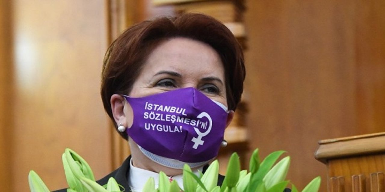 Meral Akşener'den Danıştay'a iptal başvurusu!