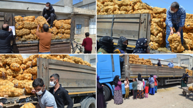 Saray'ın 'yoksullara patates' şovu pes dedirtti!