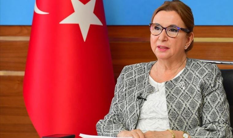 'Dezenfektan'cı bakan Ruhsar Pekcan bakan olmasaydı bu cezayı alacaktı!