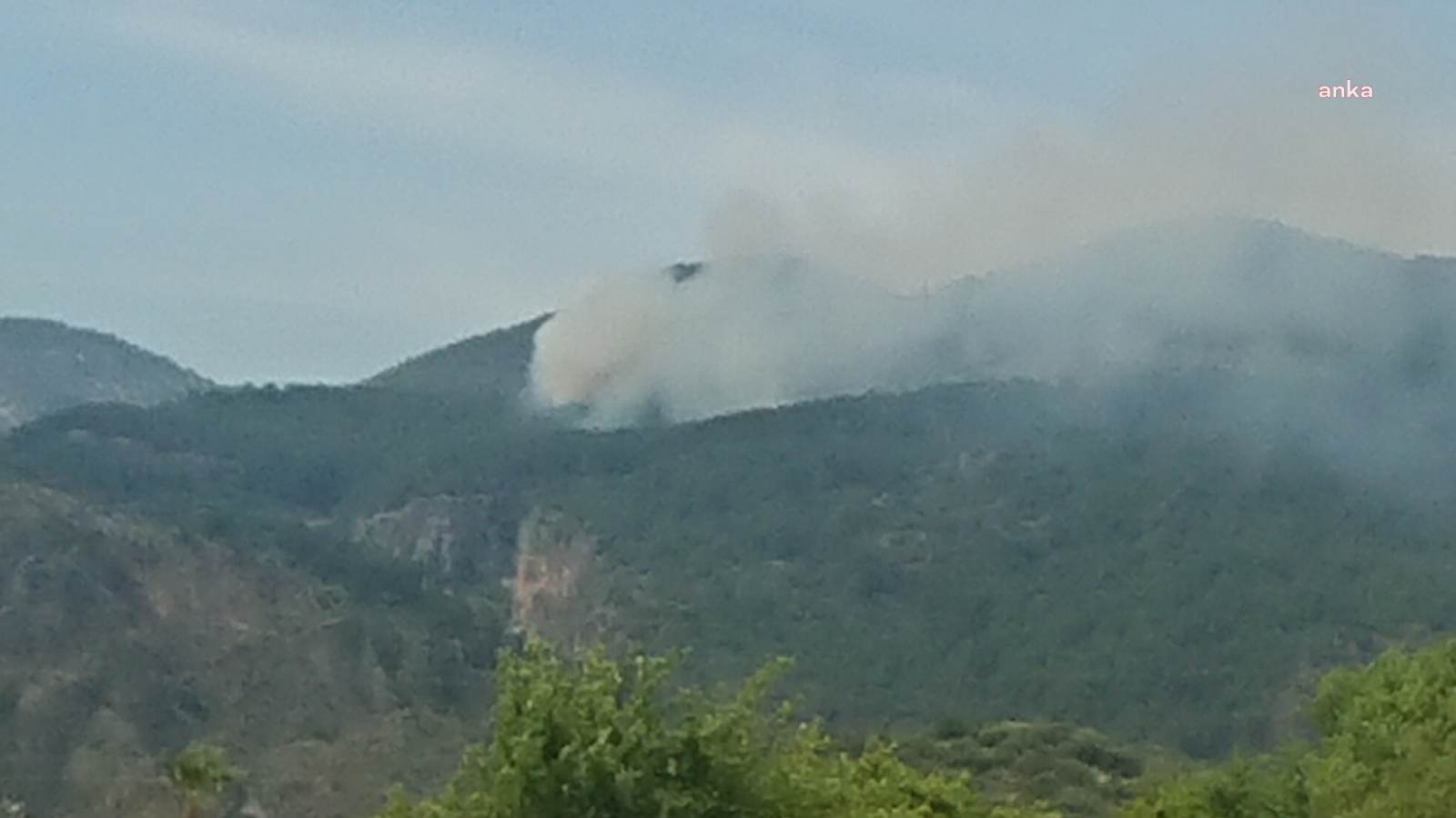 Muğla’nın Ortaca ilçesinde yangın