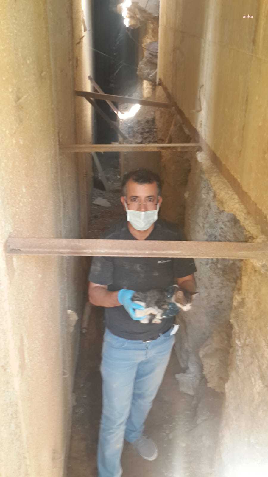 İzmir’de 12 saatlik kedi kurtarma operasyonu…