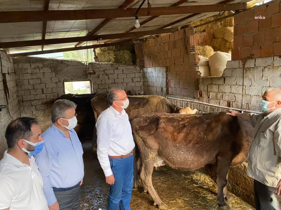CHP’li Girgin: “Sütler elde kaldı, çiftçi perişan”