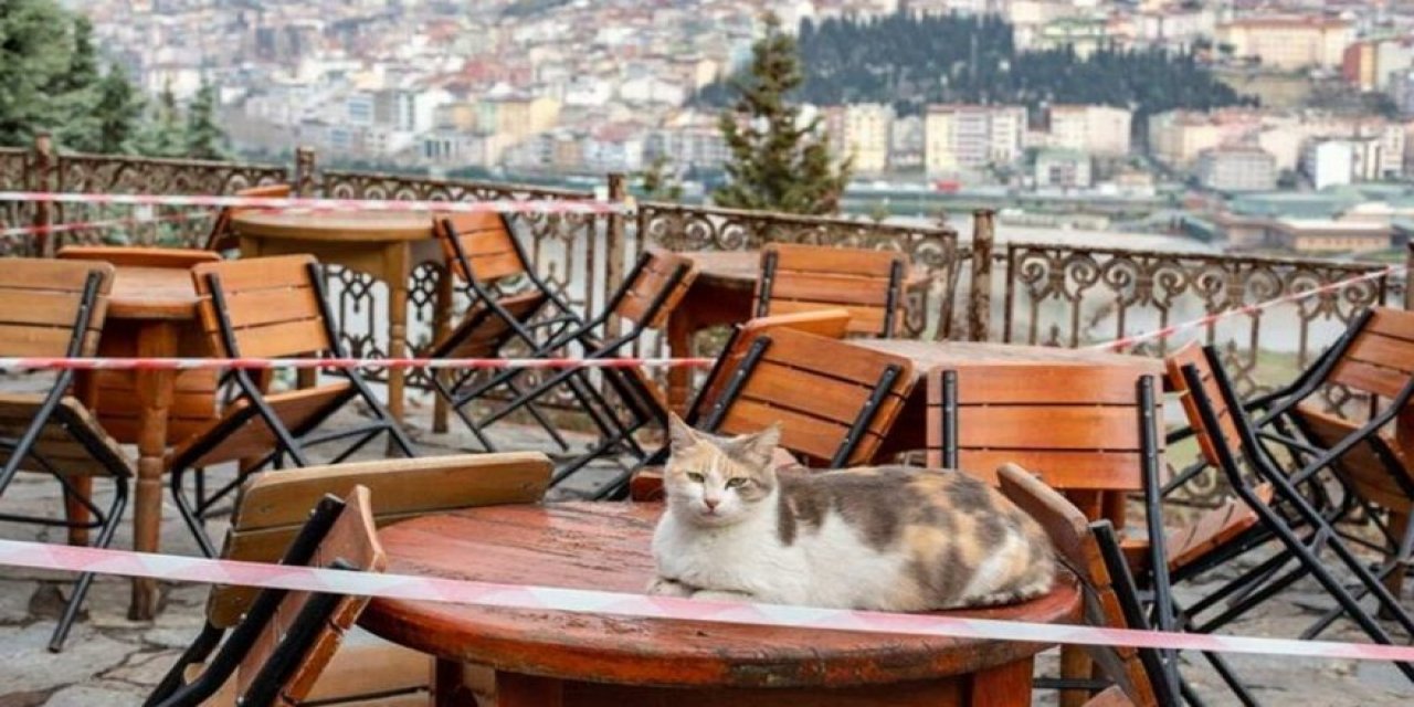 Beklenen normalleşme gelmedi: Hayal kırıklığı yaşadılar