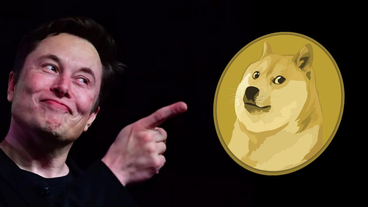 Elon Musk'tan şok eden Dogecoin yorumu: "Çok büyük bir bela!"