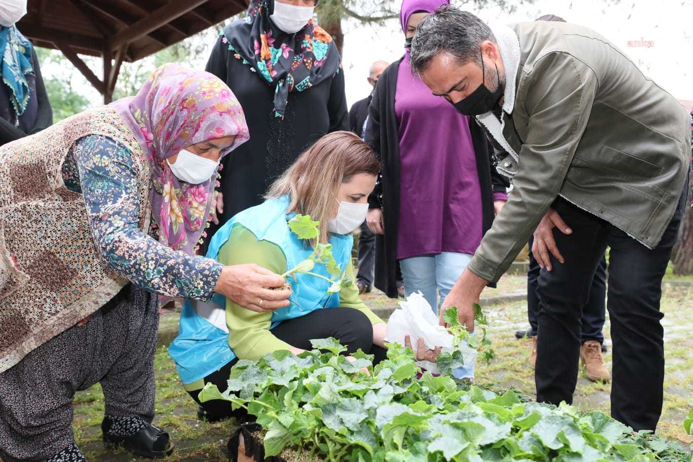 İzmit’te fide dağıtım şenliği…