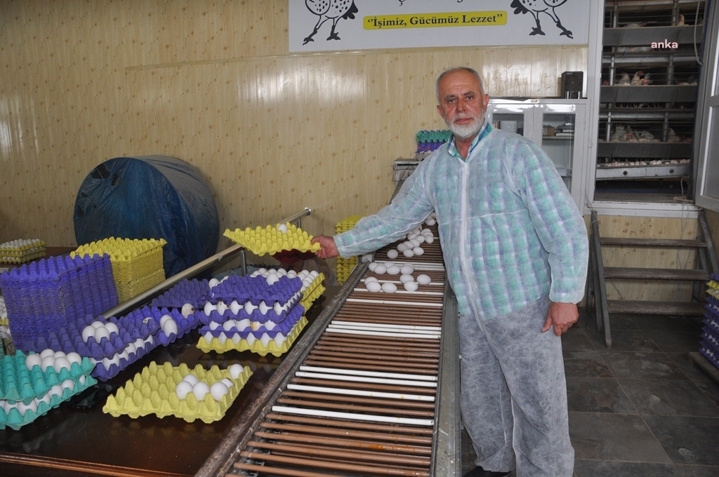 Yumurta üreticisi, zincir marketlerden şikayetçi...