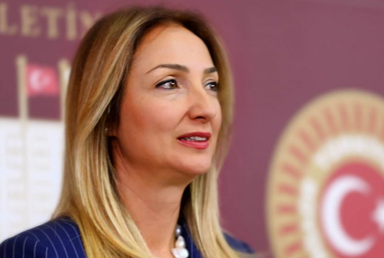 CHP'li Aylin Nazlıaka: "Erdoğan, şiddet uygulayanları adeta kutsamıştır"
