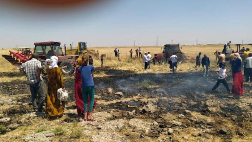 Mardin'de yangın! 50 dönüm alanda ekili buğday yandı