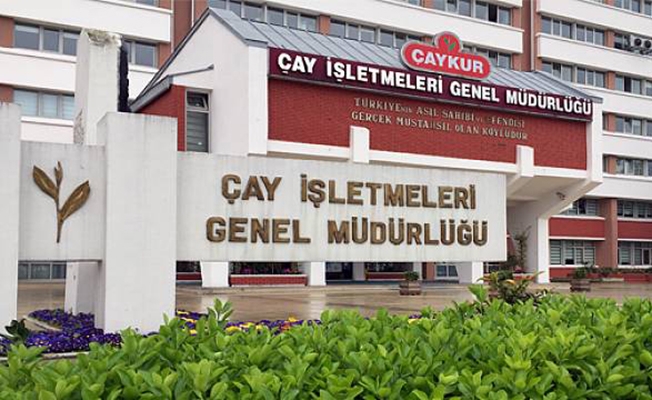 ÇAYKUR’un bir yılda borçları 690 milyon TL daha arttı