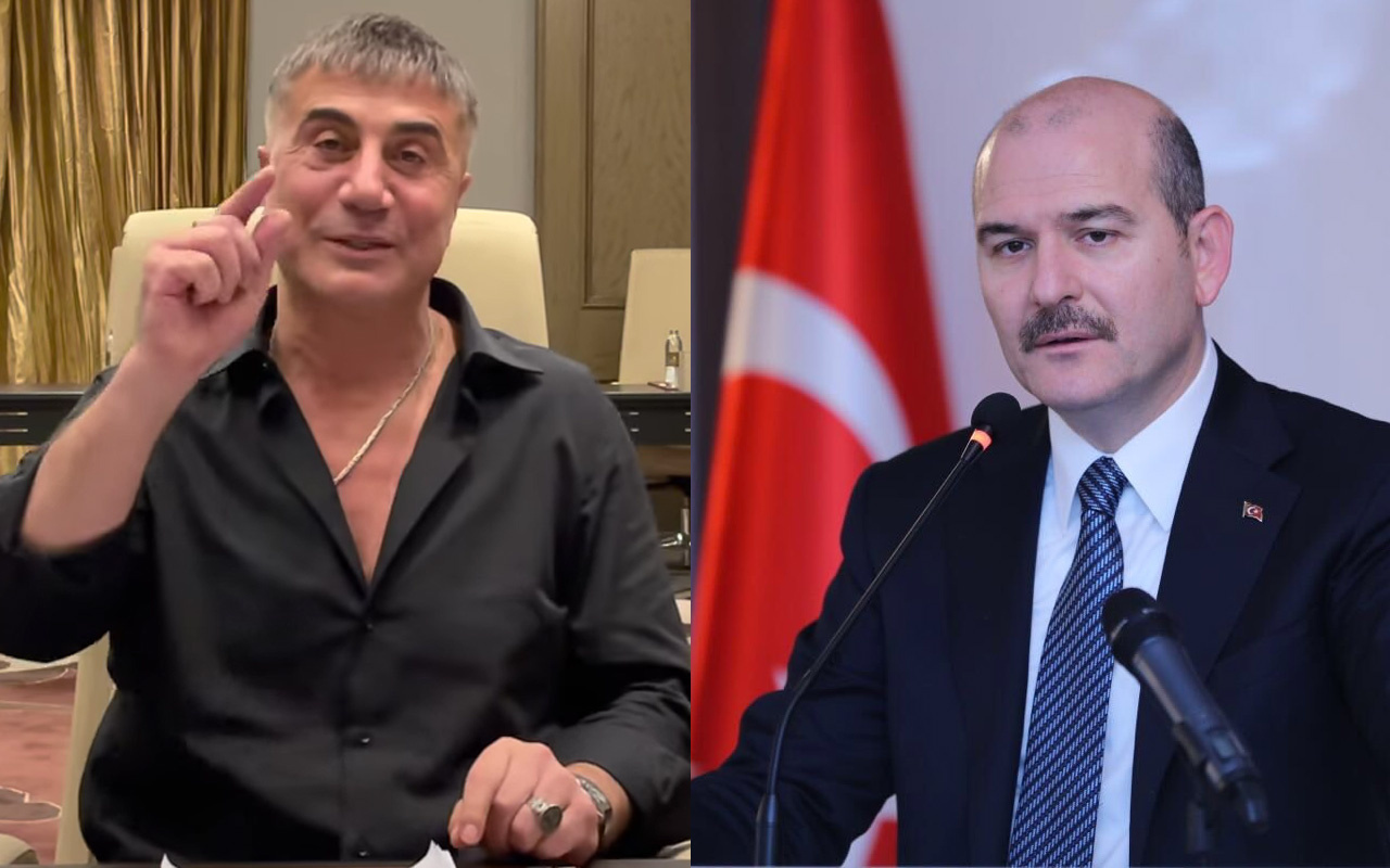 Erdoğan cephesinden Süleyman Soylu'yu çok kızdıracak Sedat Peker yazısı