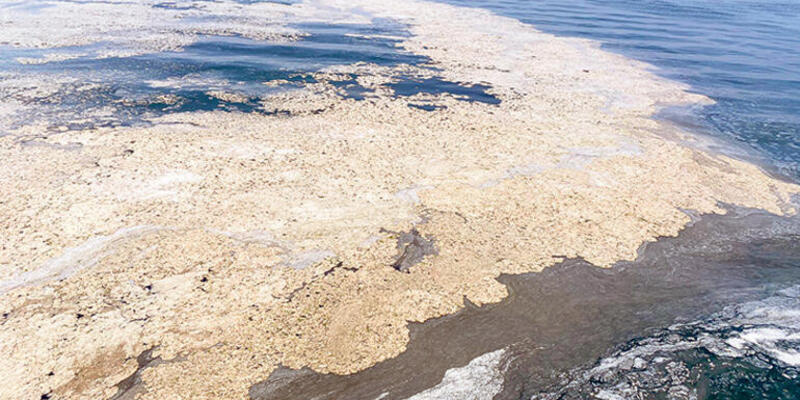 Marmara Denizi'ndeki müsilaja ilişkin şok açıklama! İstanbul'u hangi salgın bekliyor?