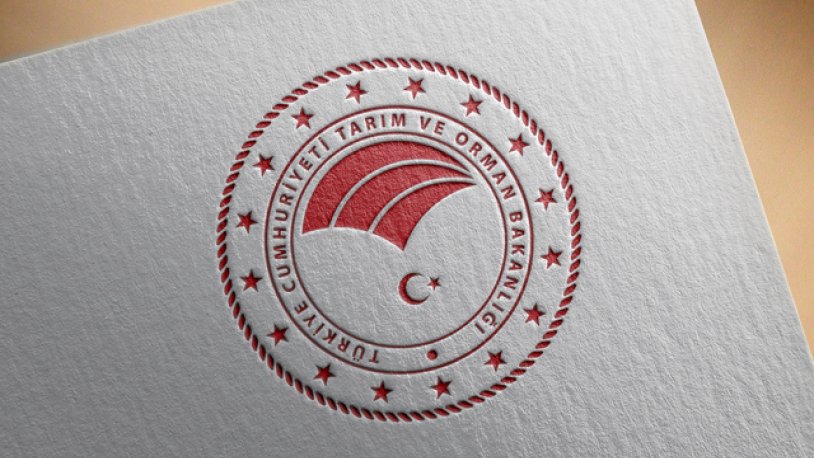 Bilim insanı ormana 'izinle' girecek