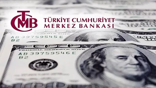 Erdoğan'ın 'rezerv' açıklamalarının ardından Ekonomist Mahfi Eğilmez'den cevap geldi
