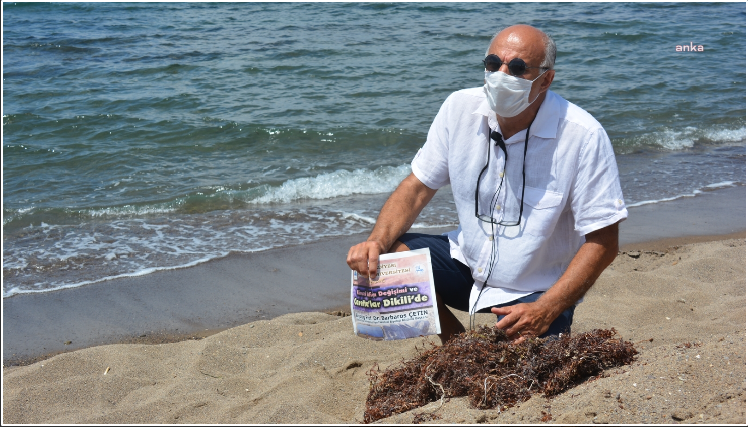 Müsilajdan sonra yeni tehdit: “Sargassum”