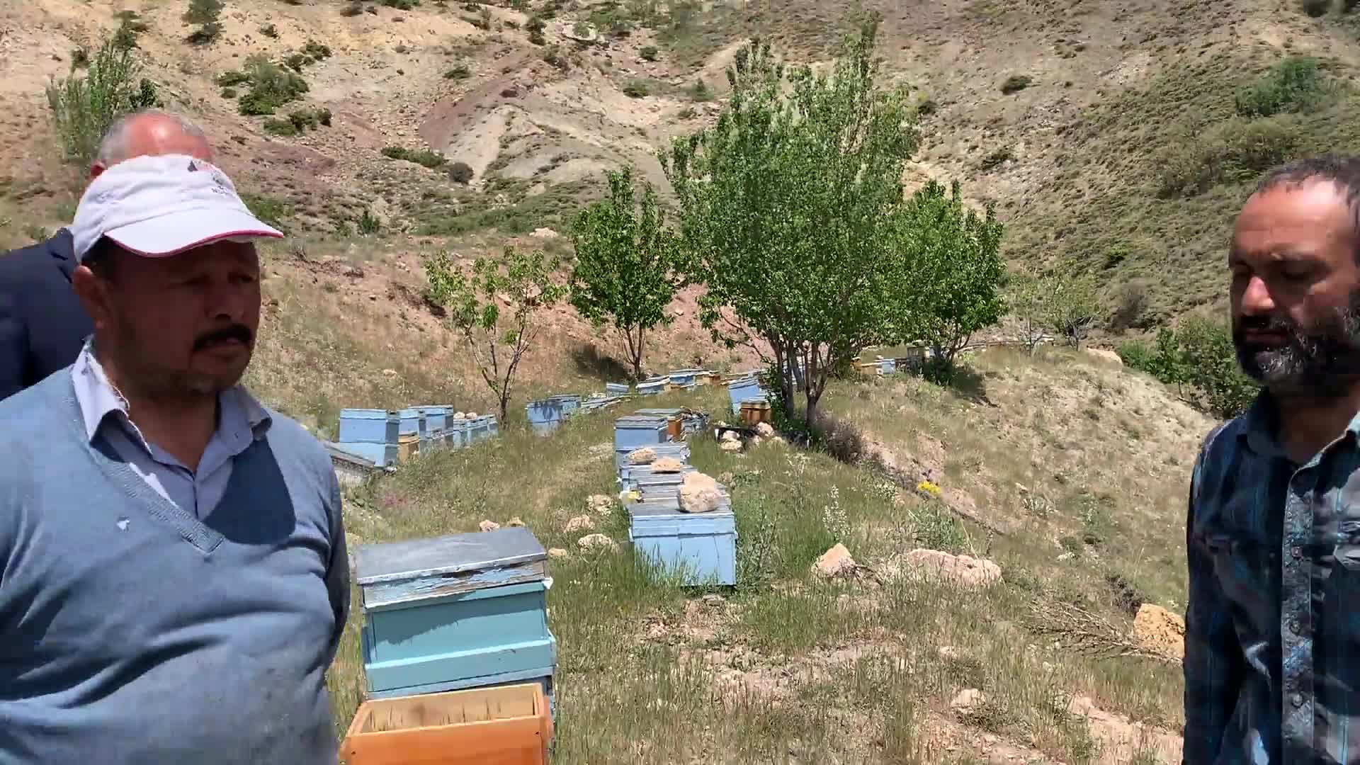 Kuraklık arıcılığı da olumsuz etkiledi