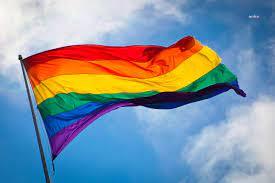 TİHV, 'LGBTİ+’lara yönelik ayrımcılık, nefret ve şiddet içeren tutum ve davranışlardan vazgeçilmesi' çağrısını yineledi