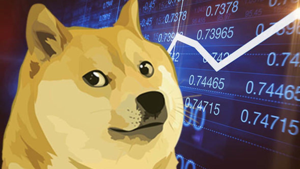 Dogecoin yatırımcılarını batırdı