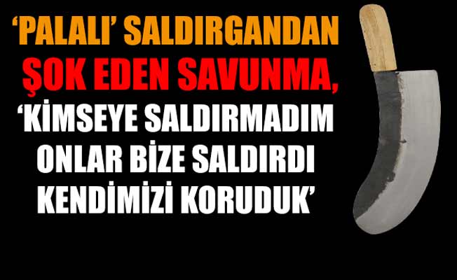 Gezi'deki palalı saldırgana 3 yıl hapis cezası