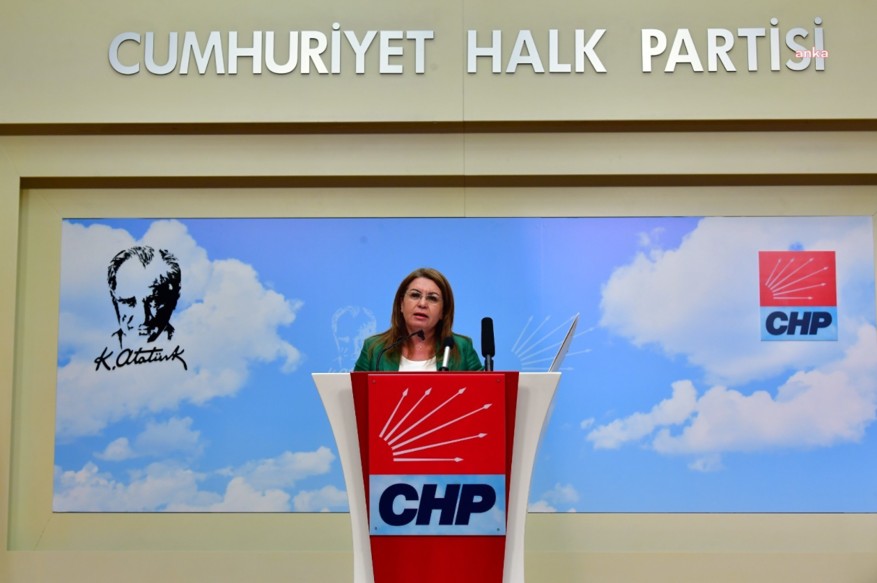 CHP'li Karaca: "Çoklu hak ihlaline uğrayan binlerce kişinin hayatı Süleyman Soylu ile Süleyman Özışık’ın keyfiyetine mi kalmıştır?"