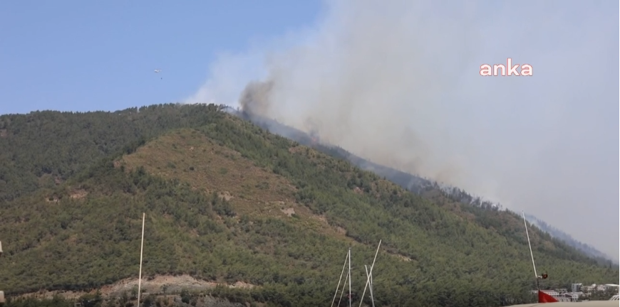 Marmaris Belediyesi, yanan ormanlık alanı yeniden ağaçlandıracaklarını açıkladı