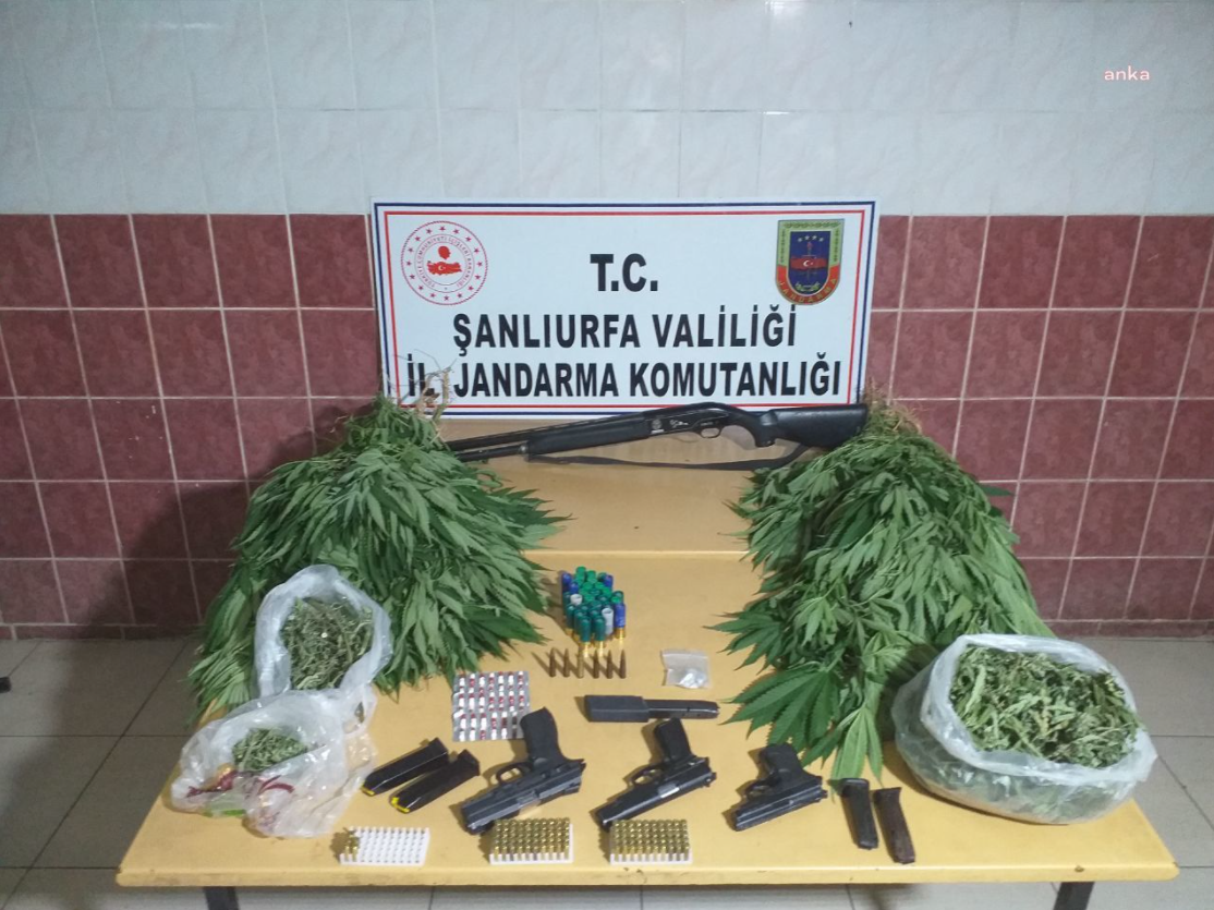 Jandarmadan uyuşturucu operasyonu