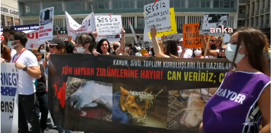 Hayvanseverler Cumhurbaşkanı Erdoğan’a veto çağrısında bulundu