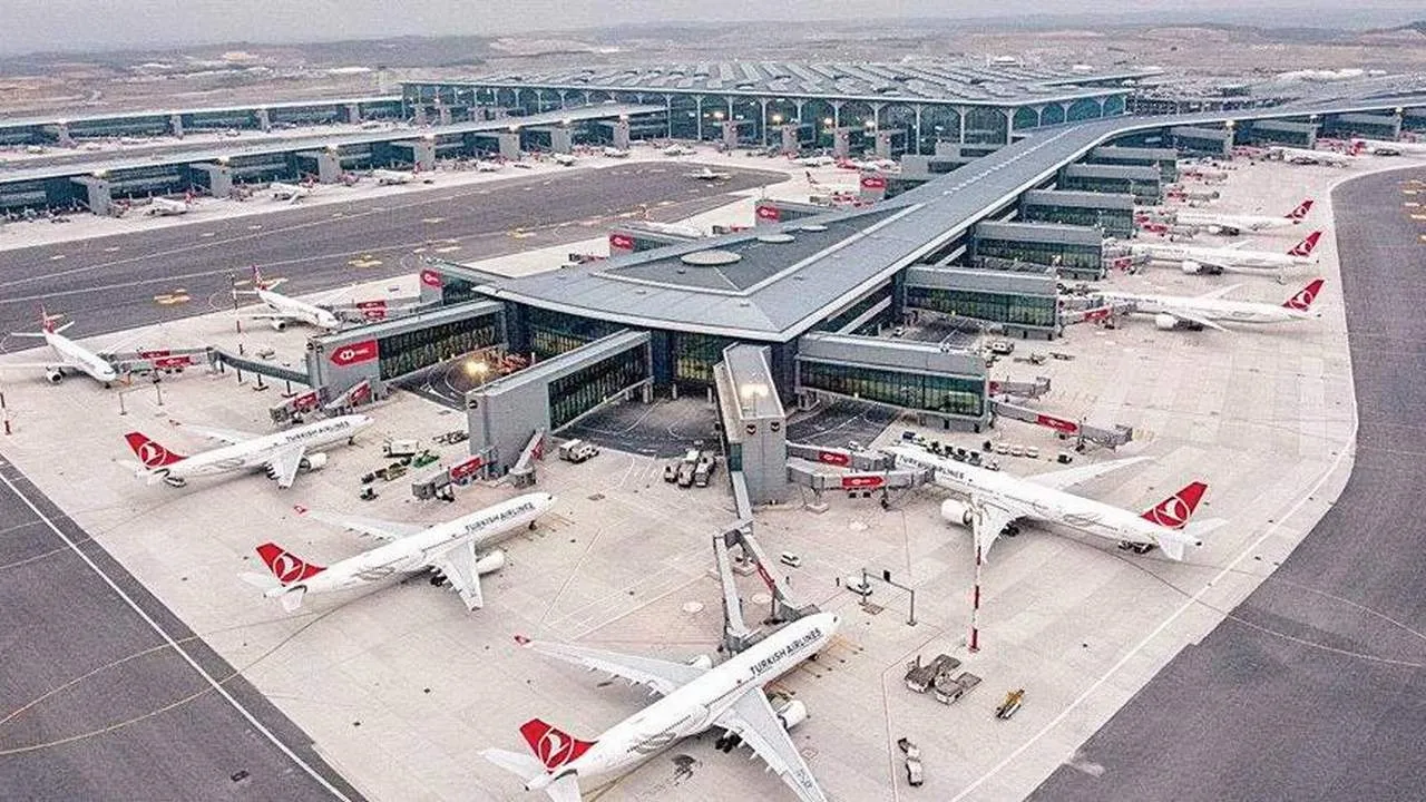 İstanbul Havalimanı'nda çekirge dehşeti! Her yeri sardılar