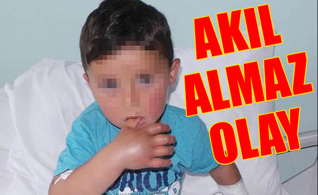 3 yaşındaki çocuğu hastanede yılan ısırdı