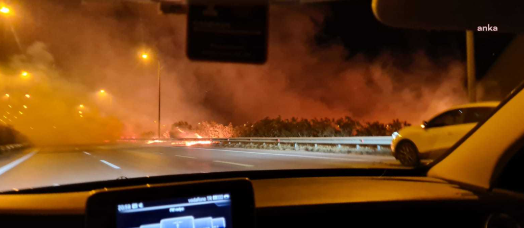 İskenderun-Adana otobanında üç ayrı noktada yangın