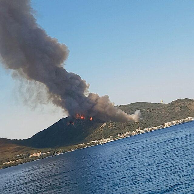 Şimdi de Muğla Marmaris'te orman yangını!