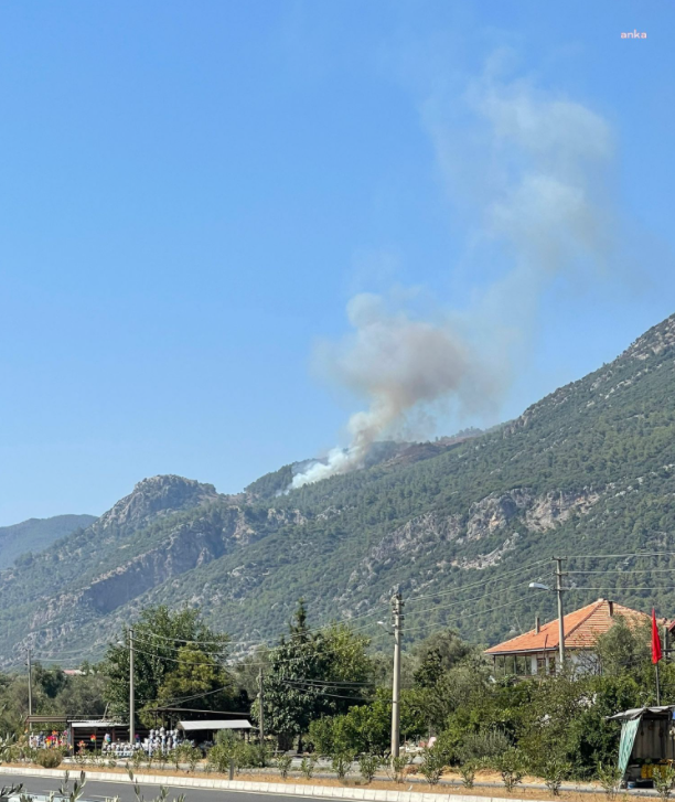 Köyceğiz’de orman yangını çıktı