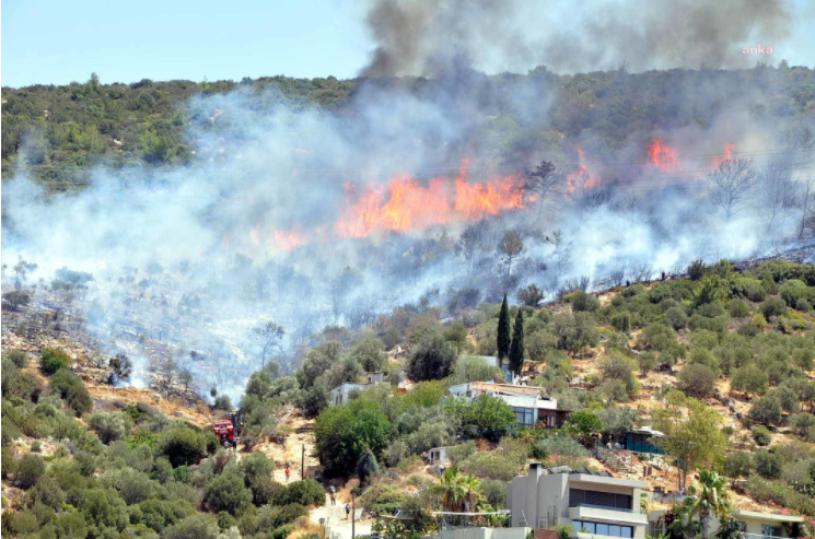 Bodrum merkezde yangın nedeniyle evler ve oteller boşaltılıyor