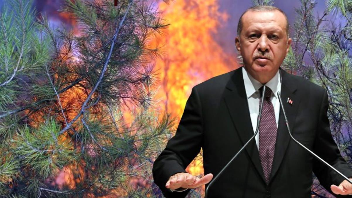 Erdoğan açıkladı! Yanan alanlar başka bir amaçla kullanılacak mı?