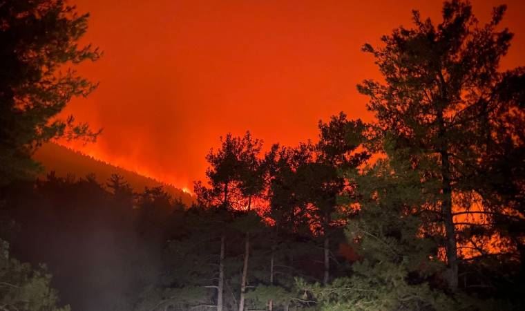 Orman yangınının ulaştığı Bodrum'da 3 mahalle tahliye kararı