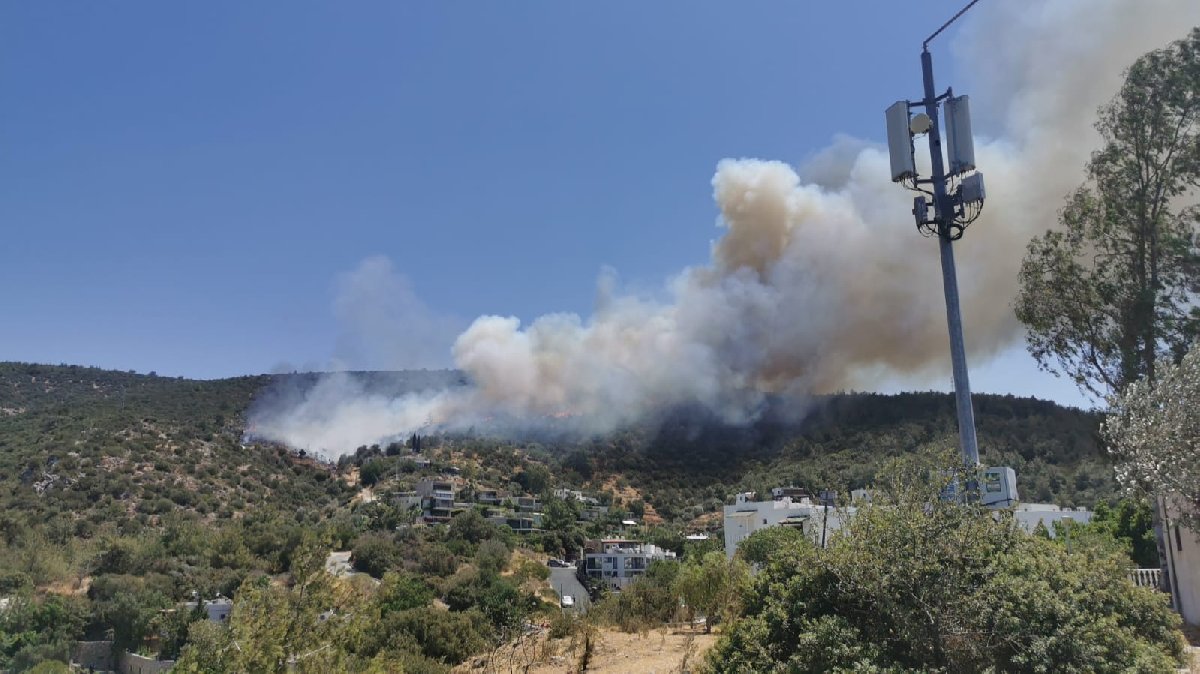Bodrum'da orman yangını kontrol altına alındı