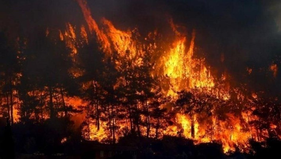 Samsun'da orman yangınında son gelişme! 7 hektarlık alan zarar gördü