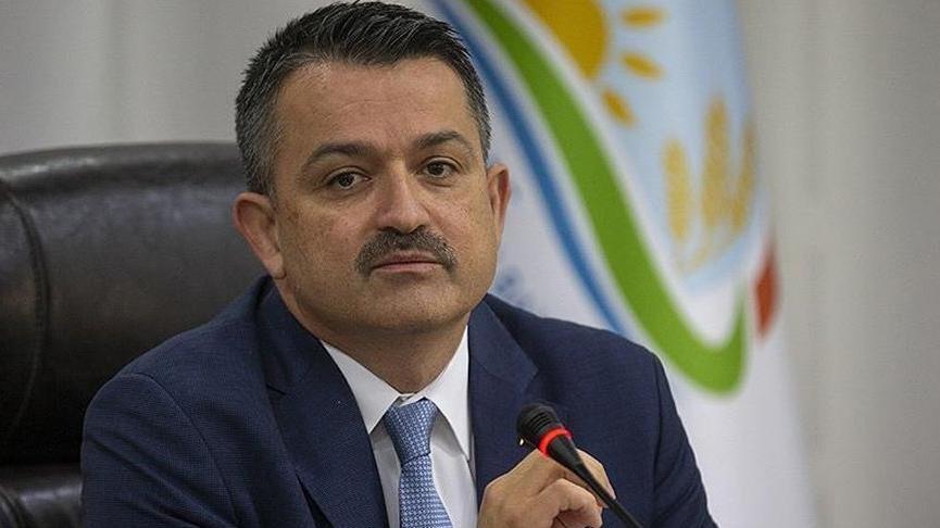 Bekir Pakdemirli belediyeleri suçladı: "Benim gördüğüm orman yerlerindeki sorumluluk belediyelerdedir"