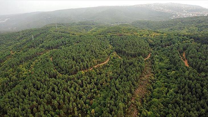 Ormanlara ilişkin kanun metni yangınlardan önce çıkmış...