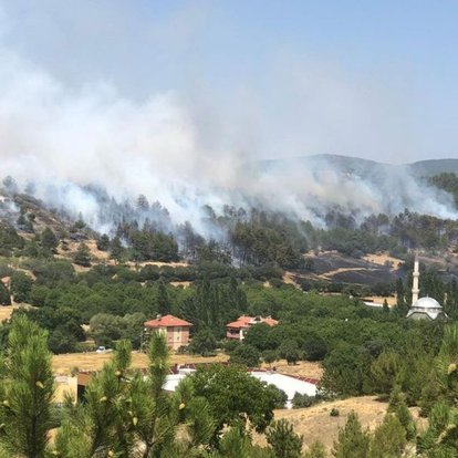 Bu kez de Uşak! Arazide çıkan yangın ormana sıçradı