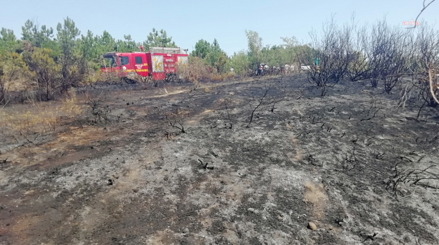 Karadeniz Ereğli'deki orman yangını kontrol altında