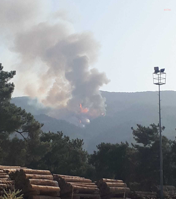 Muğla Menteşe'de yangın çıktı