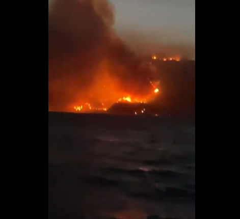 Milas'ta alevler termik santrale yaklaştı, bölge tahliye ediliyor