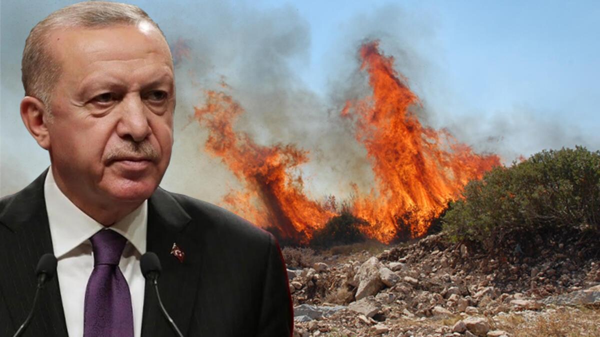 Erdoğan'dan orman yangınlarına ilişkin yeni karar!