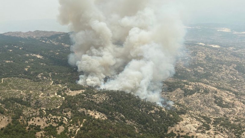Muğla Yatağan'da orman yangını