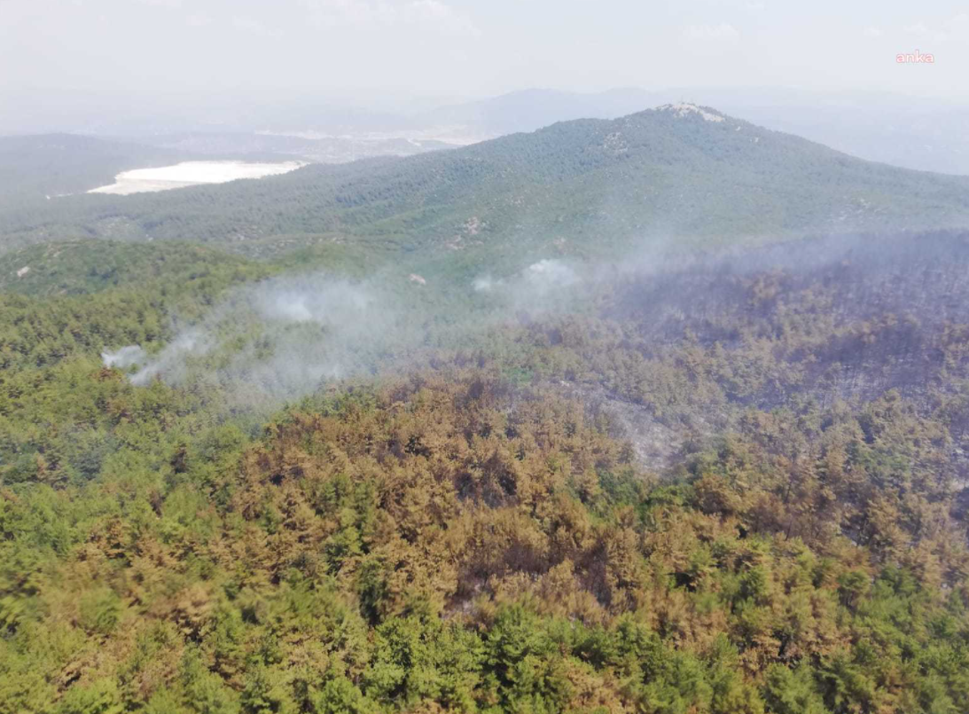 Muğla Milas'ta tekrar orman yangını çıktı