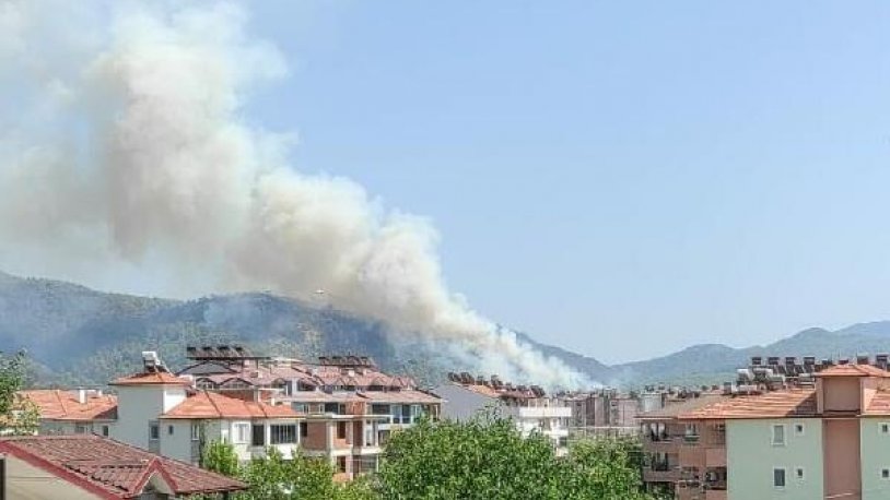 Dalaman'da panik yaratan orman yangını!