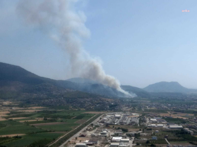 Muğla Dalaman'da orman yangını!