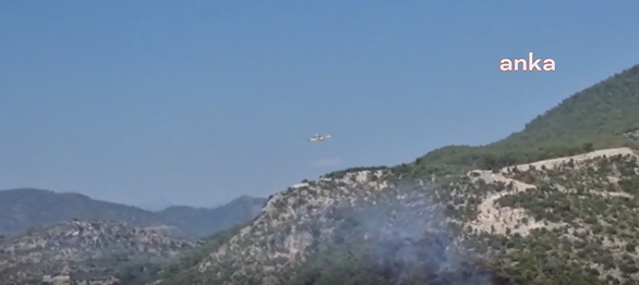 Muğla Dalaman'daki orman yangını kontrol altında!