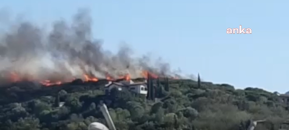 Muğla Datça'da orman yangını!