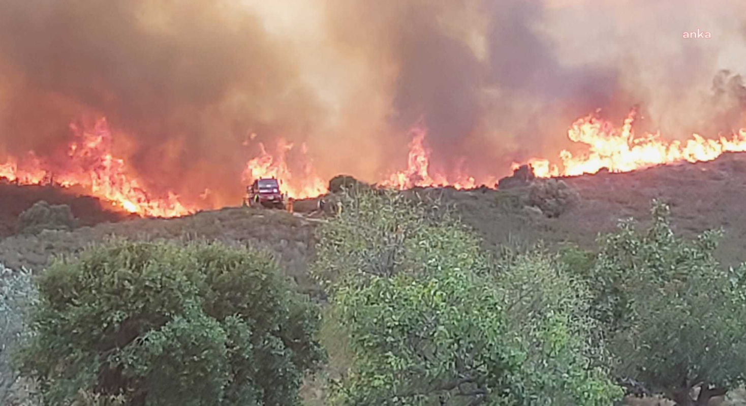 Bodrum Gümüşlük'teki yangın durdurulamadı, evler tahliye ediliyor